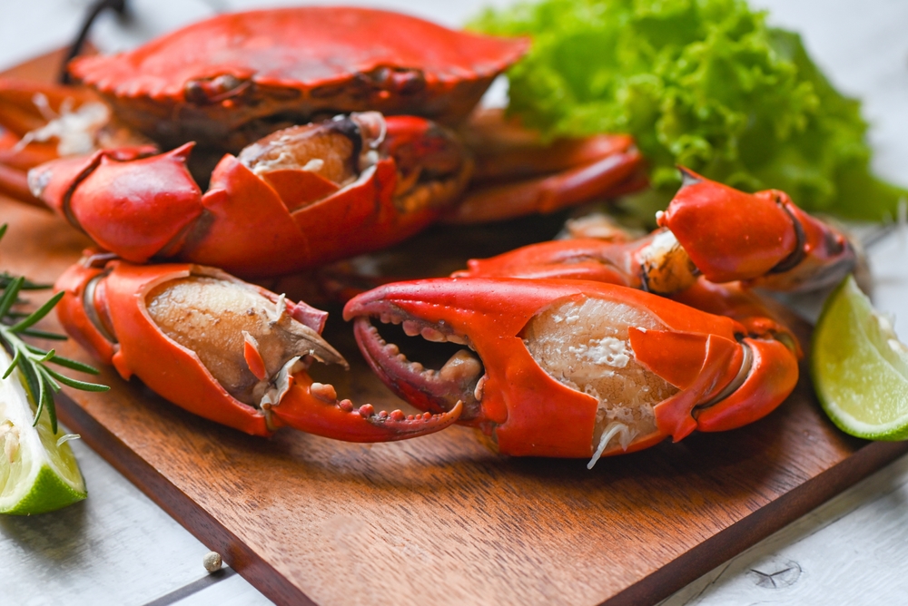 Peut-on manger du crabe pendant la grossesse ?